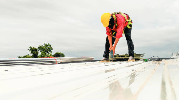 Best Rubber Roofing (EPDM, TPO)  in Mford, IL